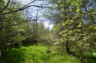 Image of property