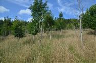 Image of property