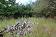 Image of property