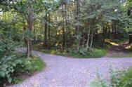 Image of property
