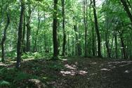 Image of property