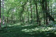 Image of property
