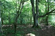 Image of property
