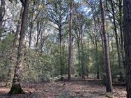 Click to view more details