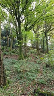 Click to view more details