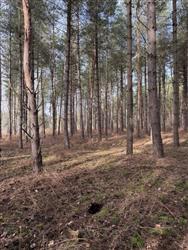 Click to view more details