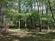 Image of property