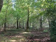 Image of property