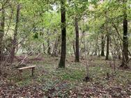 Image of property