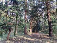Image of property
