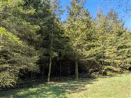 Click to view more details