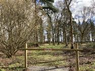Image of property