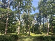 Click to view more details