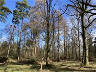 Image of property