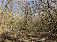 Image of property
