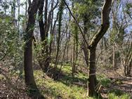 Image of property