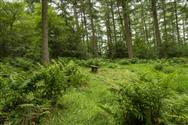 Image of property