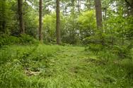 Image of property