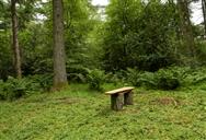 Image of property