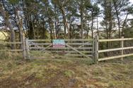 Image of property