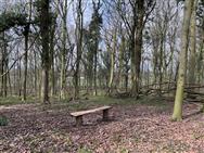 Click to view more details