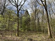 Click to view more details