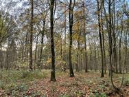 Click to view more details