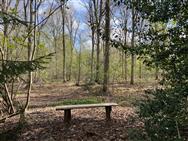 Image of property
