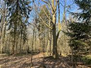 Image of property