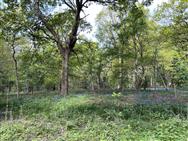 Click to view more details