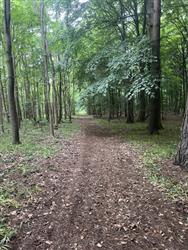 Click to view more details