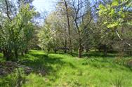 Image of property
