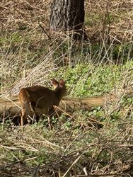 Click to view more details