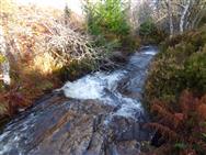 Click to view more details