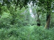 Image of property