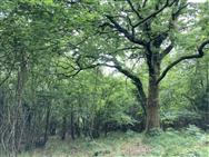 Image of property