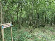 Image of property