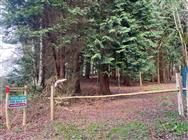 Image of property