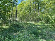 Click to view more details