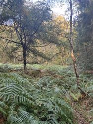 Image of property