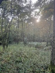 Image of property