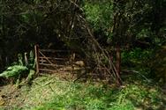 Image of property