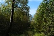 Image of property