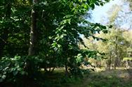Image of property