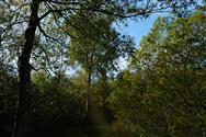 Image of property