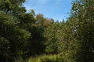Image of property