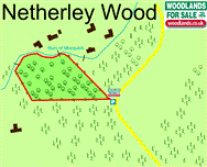 Image of property