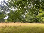 Image of property