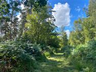 Image of property