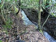 Image of property